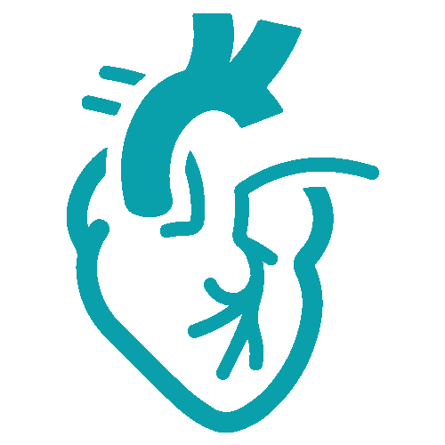 Adult-Cardiac-Surgery