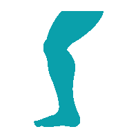 Limb