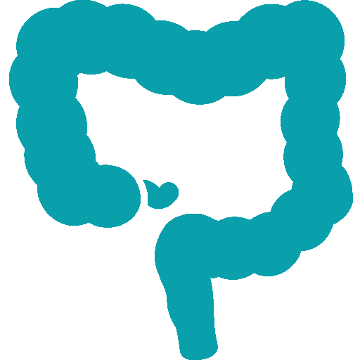 colon