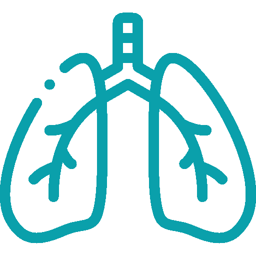 lungs