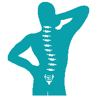 spine-n-nerves