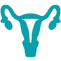 uterine